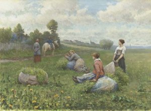 The Harvest