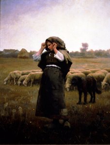 Shepherdess And Her Flock